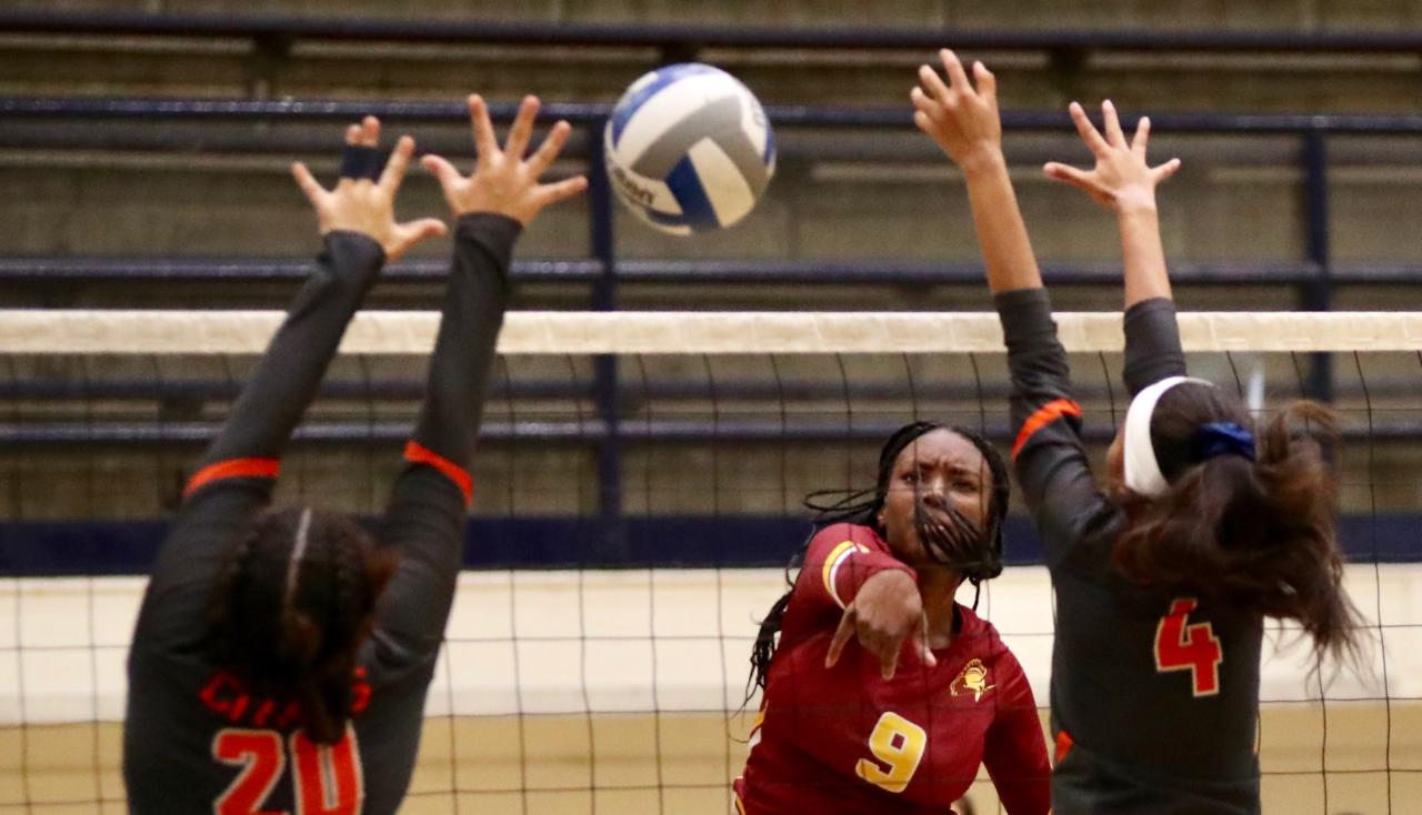 Lancer Erykah Wilson was one of 10 PCC women's volleyball players to excel in the classroom as members of the CCCWVCA 2019 Scholar-Athlete List.